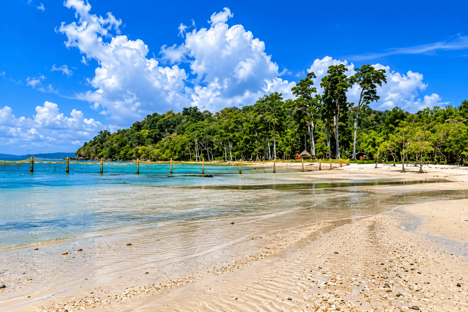6Nights Andaman LTC Package