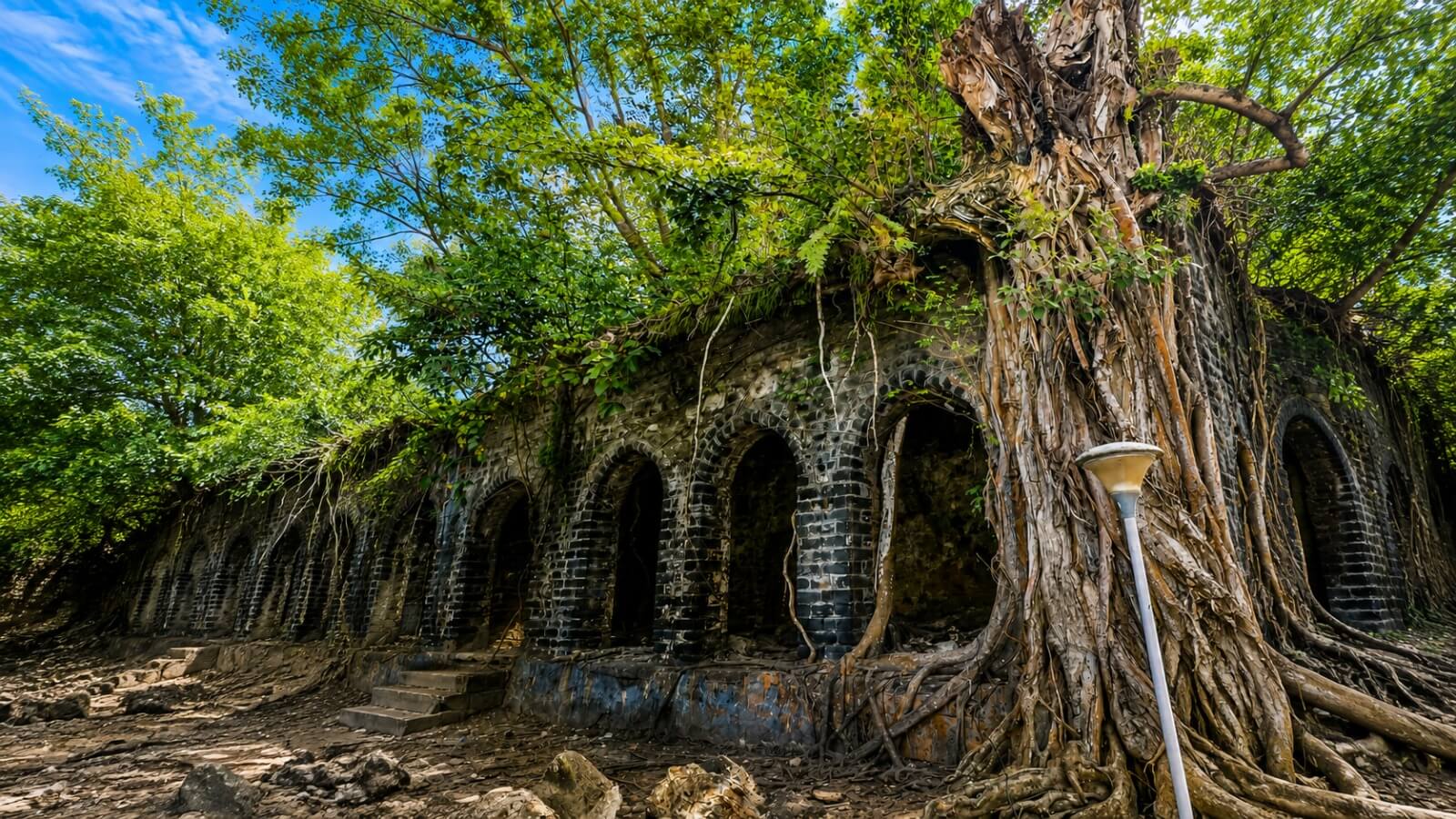 4N/5D Andaman Tour Packages
