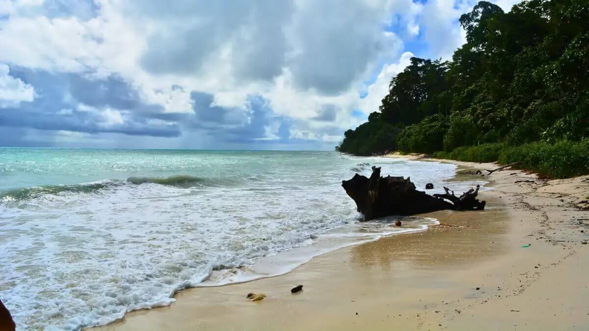 Andaman Holiday Packages